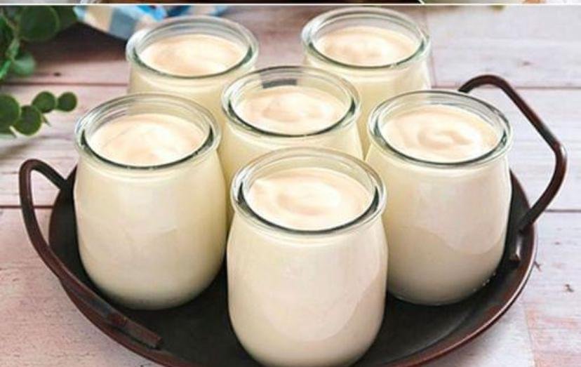 Como fazer iogurte grego caseiro com apenas 2 ingredientes: receita simples e deliciosa - Receitas De Ouro