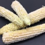 O sabugo das espigas de milho é um verdadeiro tesouro! Não jogue fora! - Receitas De Ouro