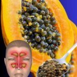 🌿 Como as sementes de mamão podem eliminar 10 problemas comuns de saúde de forma natural! 766