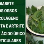 Esta FOLHA Acaba Com a DOR NA COLUNA, DOR NO CORPO, JOELHO e Deixa os OSSOS FORTES BAAF0CAA8881w900h472
