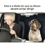 Idosos: quando é hora de parar de dirigir? Imagem da página de origem