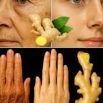 Gengibre: O Segredo Natural para uma Vida Saudável | Receitas Salgadas 846