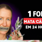 🌿 Uma Abordagem Natural para o Apoio ao Câncer: Lições de Barbara O’Neill Imagem da página de origem