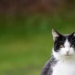 01429090-062a-4c23-bd7b-4a547bec2a39