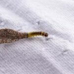 087b0108-5fe9-4630-a7c5-ffdda577f1d6