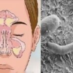 1252c090-ae4e-4c5d-8e9e-dc0f050254af