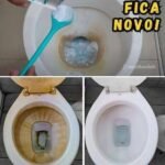 16278100-46f2-41f8-94b2-436e1dbcc839