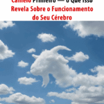 O Que a Primeira Imagem Que Você Vê Revela Sobre o Seu Cérebro? 1acbb34c-4bf1-44fa-b89c-758295a93467