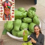 Chuchu: O Humilde Legume Verde que Conquista pela Simplicidade e Versatilidade na Culinária Brasileira - Guia Receita 29fc61c7-4186-4b0b-8b64-2eafa7d64c17