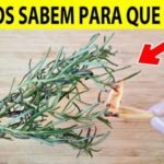 Muito Além da Cozinha: Os Surpreendentes Benefícios de Queimar Alecrim em Casa 2dd1360e-1276-4bb9-b756-47bd4251ebb6-1