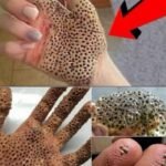 2e0f74c0-f752-4ac4-b167-670df8bb985d