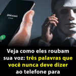 Ameaça Invisível: Como Golpistas Usam Sua Voz para Fraudes e Como se Proteger 2f1f174f-dead-4ca8-9480-bb09a96ab516