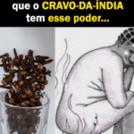 O Poder Incrível do Cravo-da-Índia: Uma Infusão Aromática que Todos Deveriam Conhecer 33b6734f-2c08-42c4-9ba2-92628f2a2ab5