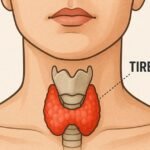 Alimentos e Tireoide: O Que Evitar Para Prevenir Inflamações 3ecd1493-357e-48d9-8c92-c267b2ad1544