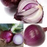 3f0fb264-e039-4127-9207-a7c032ba5b80