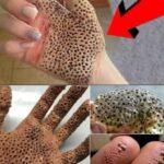 3f907738-6183-4374-b64f-0c3f894a61de