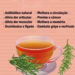 Chá de Alecrim: Uma Farmácia Natural em Sua Xícara 46021964-95c9-469d-8c07-c815e41076fa