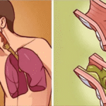 6b3e51ac-495f-4d56-955a-ca954a2b4a54