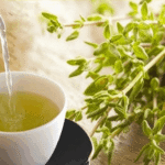 Tomilho: Seu Aliado Natural Contra Doenças Crônicas 7854d3c4-93fd-4728-9ef5-4991c41bae5f