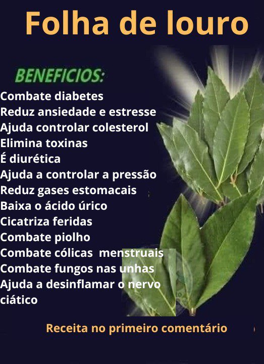 Folha de Louro: Mais do que um Temperro, um Elixir de Benefícios na sua Cozinha - Guia Receita