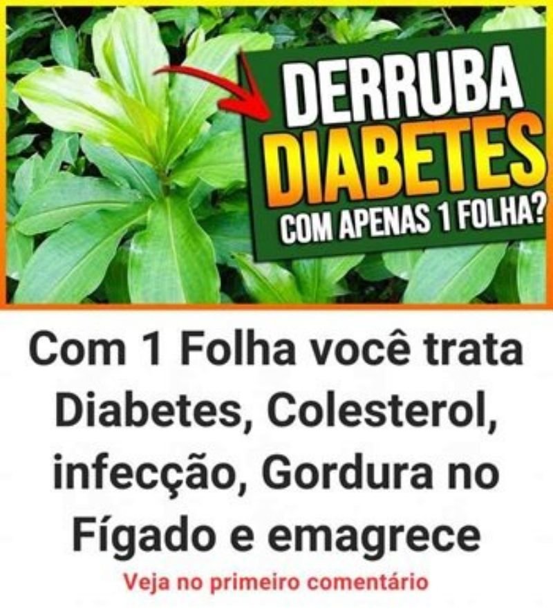 Planta Milagrosa: Diabetes, Colesterol e Gordura!