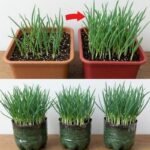 94fb6dc9-aa61-4d04-a85e-b53b33cd6b2a