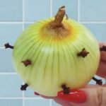O Segredo da Vovó: Cravos na Cebola – Um Repelente Natural Eficaz e Econômico 9e4c43d1-8cd7-4889-924d-8cfb9123a345