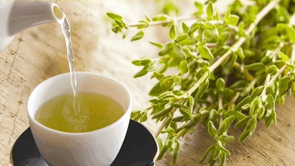 Uncaria tomentosa: O Potencial da Unha de Gato para Doenças Autoimunes e Inflamatórias - Guia Receita