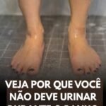 Urinando no Chuveiro: Um Hábito Polêmico e Seus Mitos (e Verdades!) abc777a4-35bd-4822-8dcd-83f90302db04