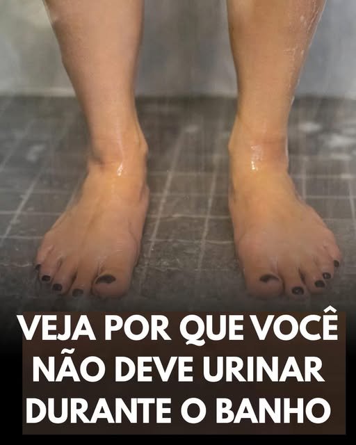 Urinando no Chuveiro: Um Hábito Polêmico e Seus Mitos (e Verdades!) - Guia Receita