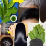 Escureça e Reduza Cabelos Grisalhos Naturalmente: Um Guia Completo com Receitas Caseiras afb9bdcf-8121-4537-958d-7ae144056410