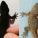 c312b7ed-ed94-4509-b424-b19eec7f358e