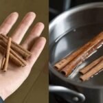 ca391c47-20e7-42e6-8c38-3877d17f1295