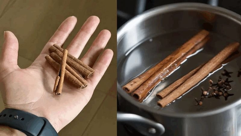 Canela & Cravo: Segredos Milenares para Seu Bem-Estar!