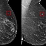 dca3ecc7-abcf-4386-86b6-3aa46e7c647f