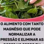 Descubra o Segredo do Magnésio: O Mineral Essencial para Pressão Sanguínea e o Alívio de Dores dd656d12-cbcd-4091-b3d8-4393c81a4e83
