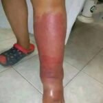 e6c47963-836f-4067-a571-579842c61da4