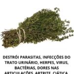 e9ee6af2-bd9e-4158-9ff2-7d87795738e7