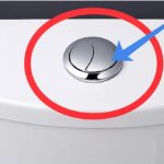 509a19ad-3653-46f0-87bf-97023fe56681