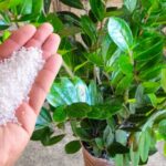 xr:d:DAFT7VIi5KQ:231,j:4605332400960705825,t:23090319