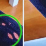 e18e6349-0e04-494b-bdc8-ed921f853fef