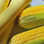 ec4d1a5b-8b0c-4577-b8b4-3efbe5ed753f