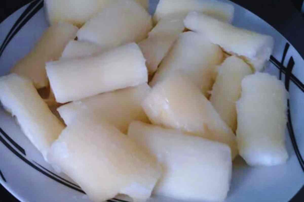 Desvende o Fugu: Riscos e a Arte da Segurança Alimentar