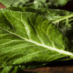 9663adee-7e5f-4e19-8d51-5650e1062392