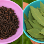 Chá de Louro e Cravo: Benefícios Anti-inflamatórios e Analgésicos c59a0dbc-ec3d-42e0-a3b9-51bd5bafcc73