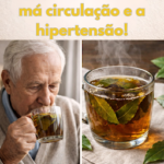 Tônico Natural: Benefícios de Goiaba, Graviola, Manga e Cúrcuma 0ed7907e-5457-4658-b413-1a258a67d631