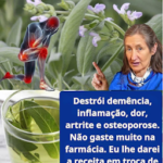 925adf7c-629e-417b-8e7f-c85aeb3261e7-1