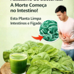Espinafre e Intestino: Limpeza Natural e Saúde Digestiva beaa0845-791b-4b51-bc0d-a93cc51c9964