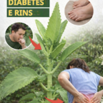 Folha-da-Vida benefícios: Usos e Aplicações Terapêuticas f3a22e40-bfcc-4623-9ba2-b27405c7a230