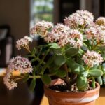 8df7345c-2829-4931-a2c8-34bde4063ff0-1